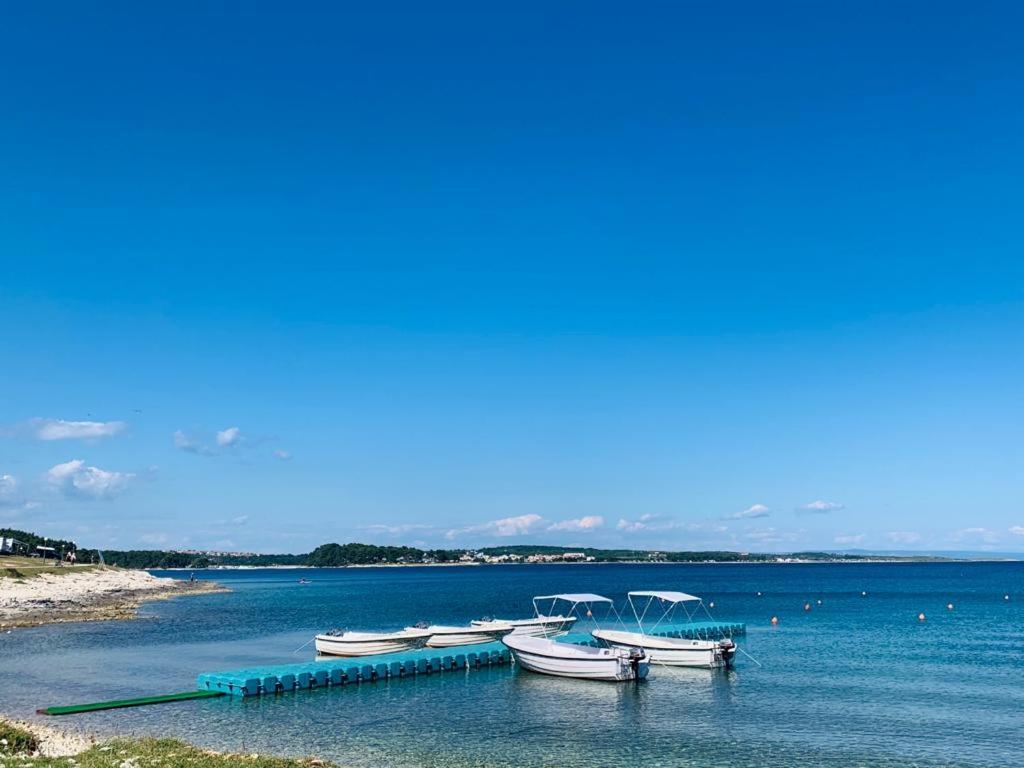 Apartment Alexandra erste Linie vor Meer und Kamenjak Premantura Buitenkant foto